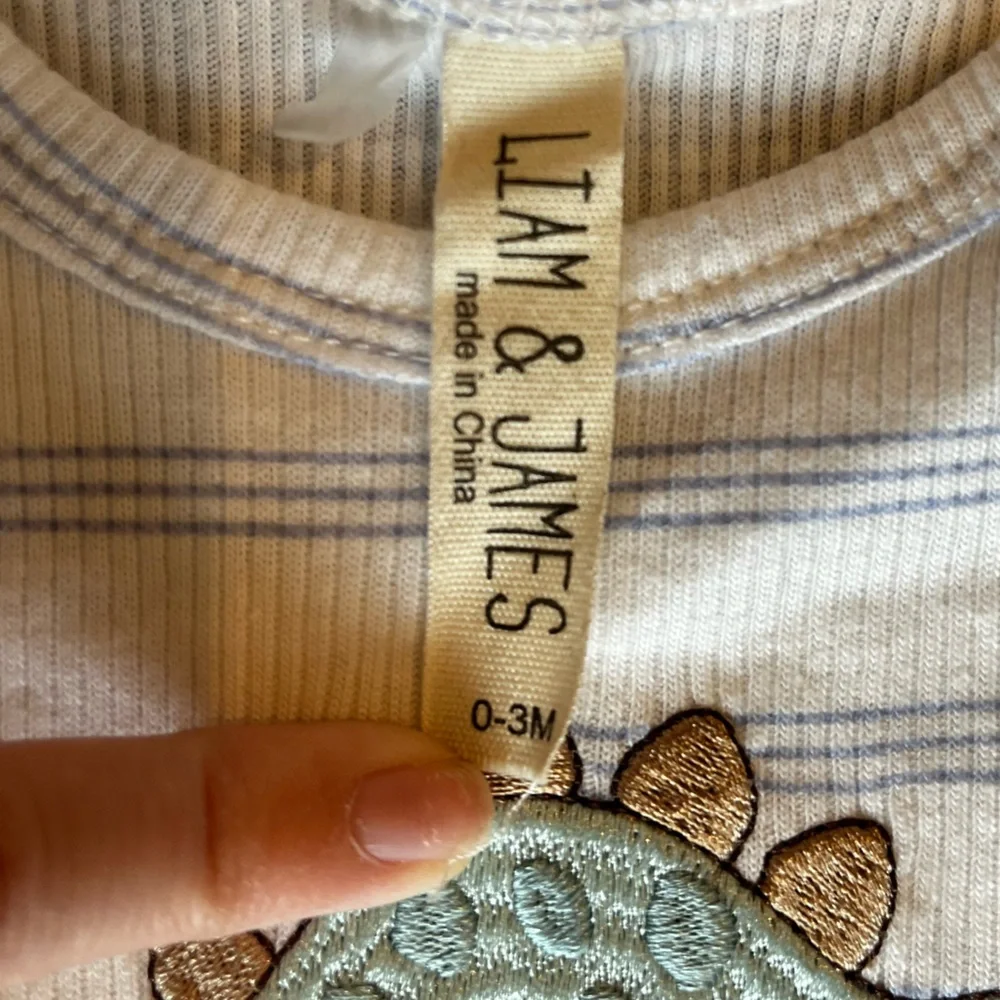Liam & James Baby Boy Long Sleeve Onesie Dinosaur Stripe Embroidered 0-3 Month